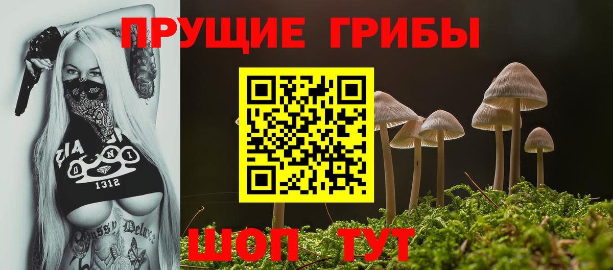 Галлюциногенные грибы Psilocybine cubensis Благовещенск